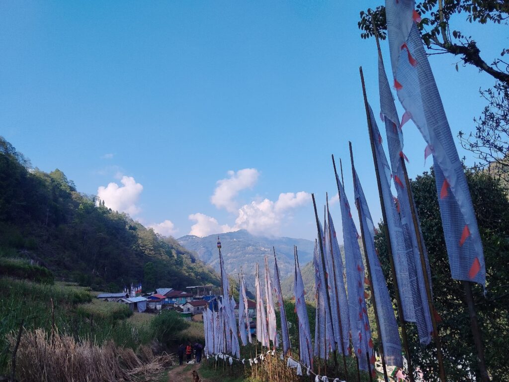 Excursion 2