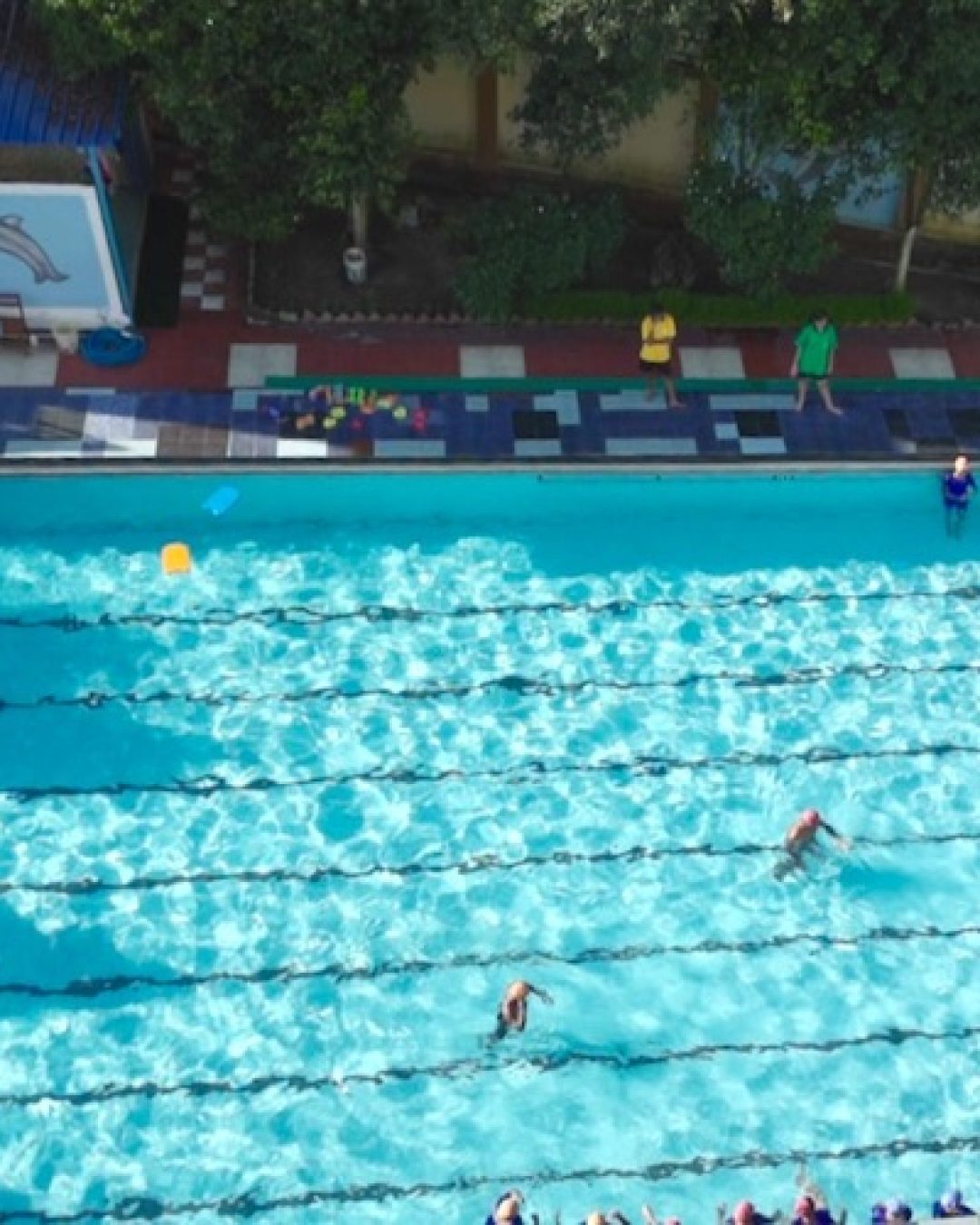 Swimming Pool 1-Thumb